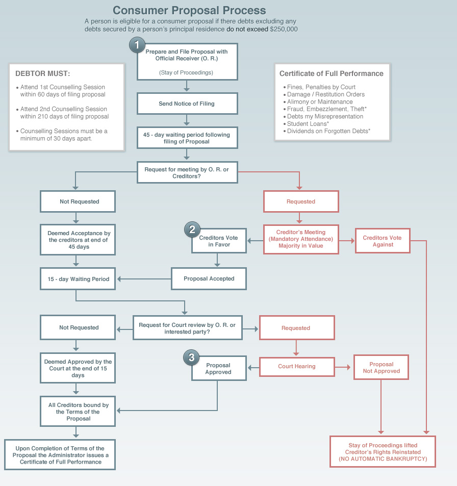 The Consumer Proposal Process